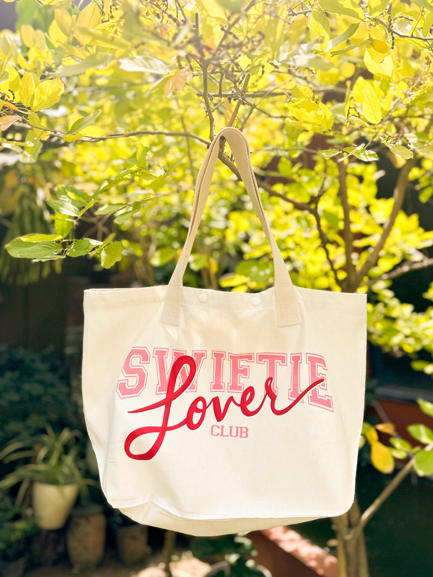 TAYLOR SWIFT LOVER BEACH BAG